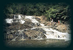 waterfall1.jpg